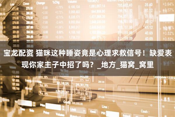 宝龙配资 猫咪这种睡姿竟是心理求救信号！缺爱表现你家主子中招了吗？_地方_猫窝_窝里
