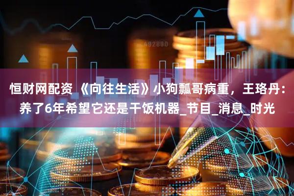 恒财网配资 《向往生活》小狗瓢哥病重，王珞丹：养了6年希望它还是干饭机器_节目_消息_时光