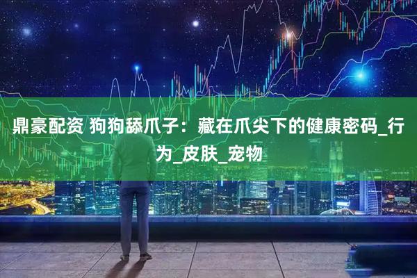 鼎豪配资 狗狗舔爪子：藏在爪尖下的健康密码_行为_皮肤_宠物