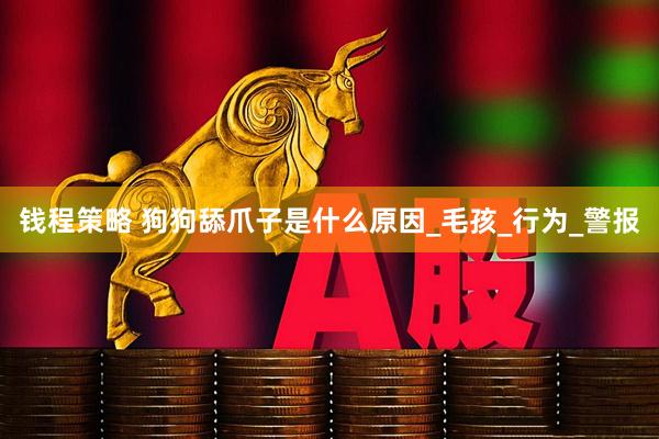 钱程策略 狗狗舔爪子是什么原因_毛孩_行为_警报