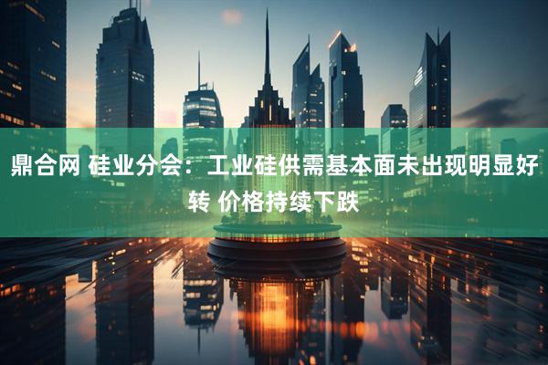 鼎合网 硅业分会：工业硅供需基本面未出现明显好转 价格持续下跌