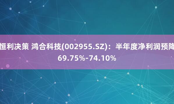 恒利决策 鸿合科技(002955.SZ)：半年度净利润预降69.75%-74.10%