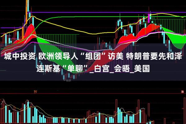 城中投资 欧洲领导人“组团”访美 特朗普要先和泽连斯基“单聊”_白宫_会晤_美国