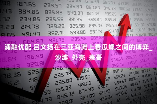 涌融优配 吕文扬在三亚海滩上看瓜螺之间的博弈_沙滩_外壳_表哥