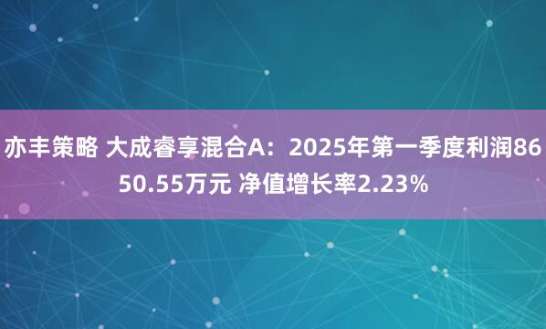 亦丰策略 大成睿享混合A：2025年第一季度利润8650.55万元 净值增长率2.23%