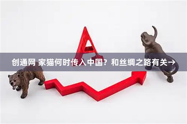 创通网 家猫何时传入中国？和丝绸之路有关→