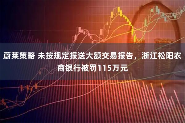 蔚莱策略 未按规定报送大额交易报告，浙江松阳农商银行被罚115万元