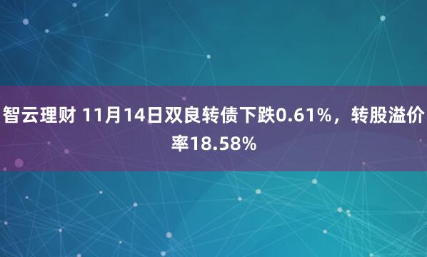 智云理财 11月14日双良转债下跌0.61%，转股溢价率18.58%