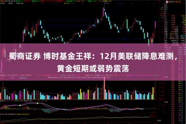 蜀商证券 博时基金王祥：12月美联储降息难测，黄金短期或弱势震荡