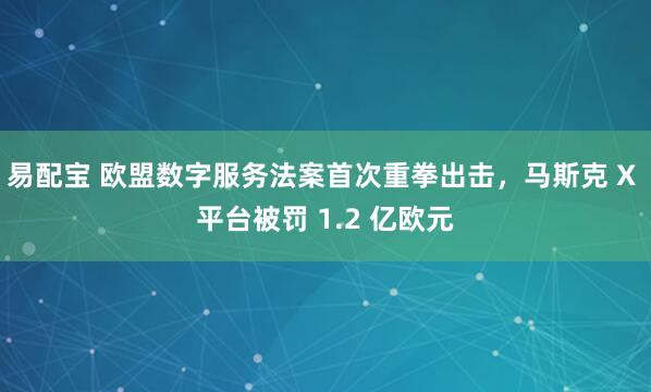 易配宝 欧盟数字服务法案首次重拳出击，马斯克 X 平台被罚 1.2 亿欧元