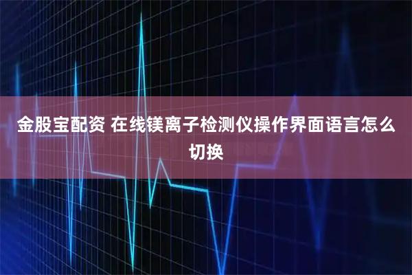金股宝配资 在线镁离子检测仪操作界面语言怎么切换
