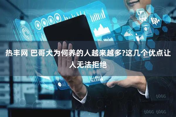 热丰网 巴哥犬为何养的人越来越多?这几个优点让人无法拒绝
