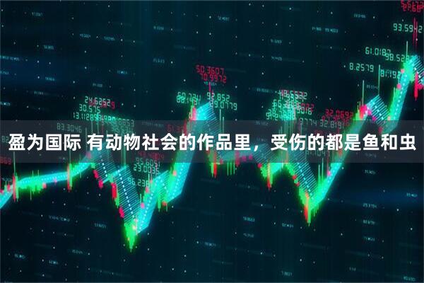 盈为国际 有动物社会的作品里，受伤的都是鱼和虫
