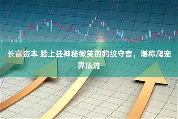 长富资本 脸上挂神秘微笑的豹纹守宫，堪称爬宠界清流
