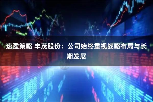 速盈策略 丰茂股份：公司始终重视战略布局与长期发展