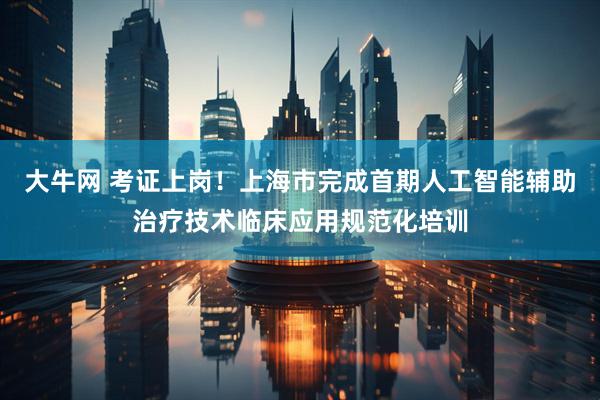 大牛网 考证上岗！上海市完成首期人工智能辅助治疗技术临床应用规范化培训